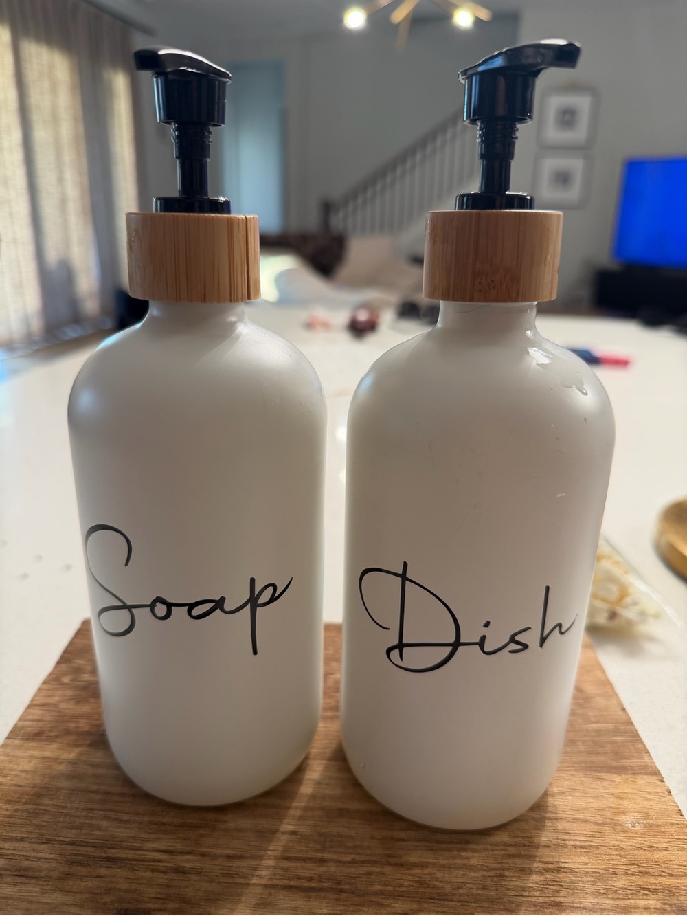 Kitchen soap and dish dispenser